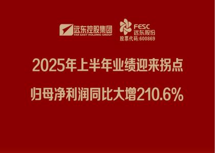 证券时报：远东股份2025年上半年业绩迎来拐点，归母净...